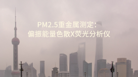 斯派克偏振能量色散X熒光分析儀：PM2.5重金屬測定